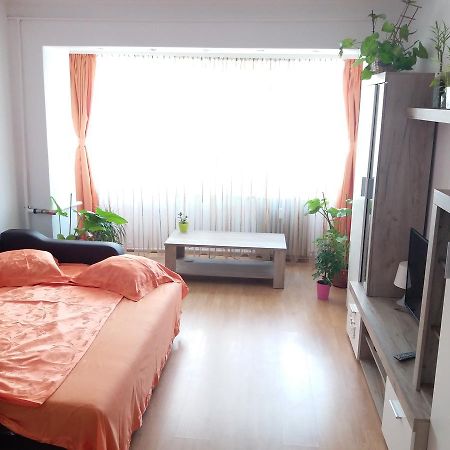 Apartament Anca Διαμέρισμα Κονστάντζα Εξωτερικό φωτογραφία